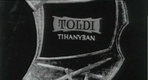 Toldi Tihanyban (1960)