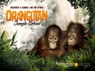 Orangutan Jungle School (2018–)