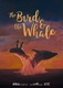 The Bird & The Whale (2017)