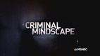 Criminal Mindscape (2009–2010)