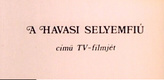 Havasi selyemfiú (1978)