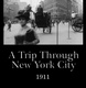 A Trip Through New York City (1911)