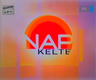Nap TV / Nap-kelte (1989–2009)