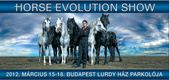 Horse evolution show (2012)