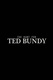 The Hunt for Ted Bundy (2015)
