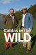 Cabins in the Wild with Dick Strawbridge (2017–)