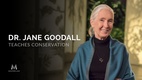 MasterClass: Dr. Jane Goodall Teaches Conservation (2017–2017)
