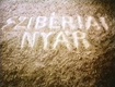 Szibériai nyár (1990)
