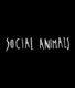 Social animals (2015)