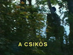 A csikós (1993)
