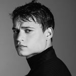 Portraits 52028